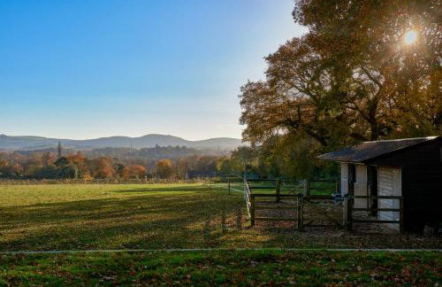 Stunning Cabin with incredible views near Goodwood - Foto 37