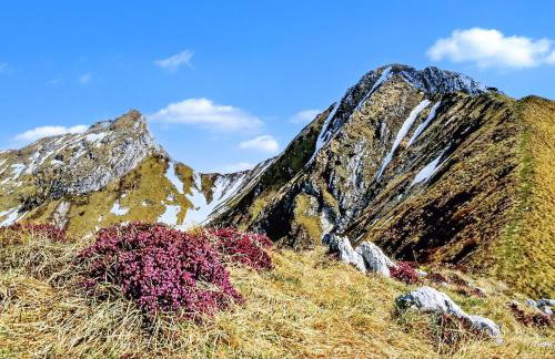 Casa Dolce Vita - Foto 23