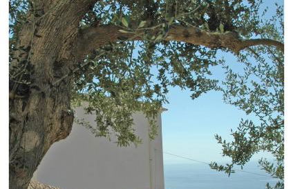 Al Poggio Antico - Foto 1