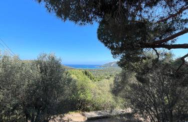 Dolce Corsica - Foto 13