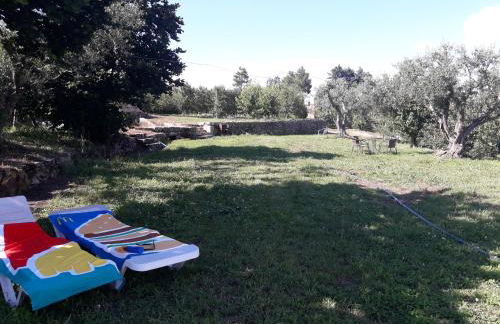 Casa do Feitor - Douro - Quinta da Cabrida - Foto 40