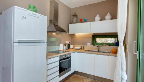 Bougainvillea - Foto 3