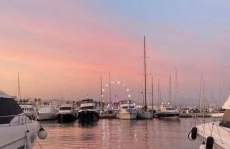 The Salamadras - Photo 33