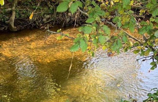 Woodview Cottage - Countryside Revive - Foto 26