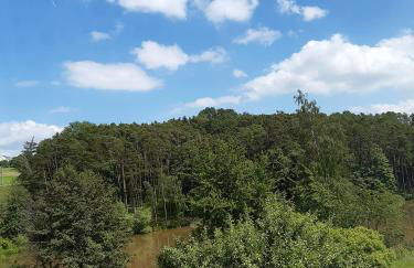 Ferienwohnung Bickel - Am großen Brombachsee - Foto 9