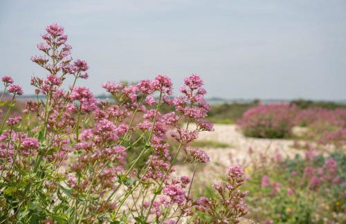 Sea Breezes by inspirestays-com - Foto 34