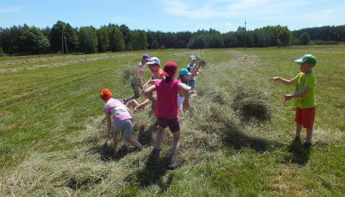 Dolina Bobrów - Foto 4