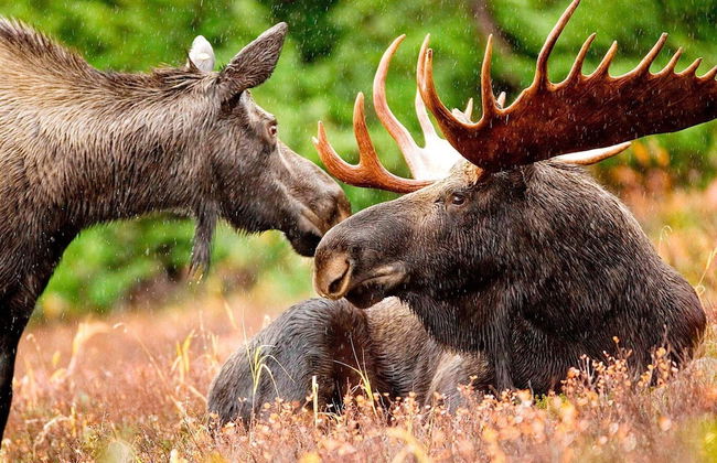 6 Person Holiday Home in Atvidaberg-by Traum - Foto 29