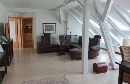 Storchennest - Foto 5