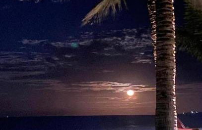 Apartamento térreo Riviera Beach Place - Photo 2