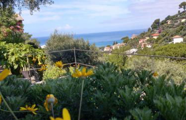 VILLINO BRUNETTO azienda agrituristica - Foto 27