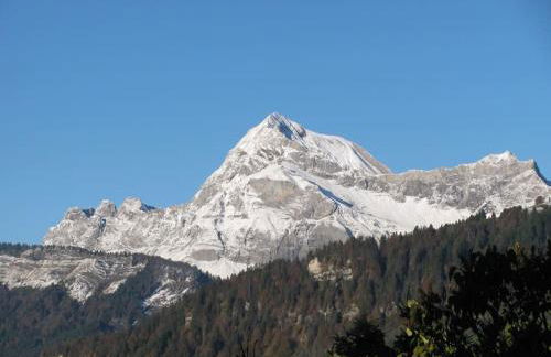 Chalet Le Wapiti, aux pieds des pistes, à 200m du village - Foto 31