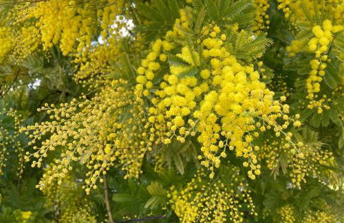 La Résidence du Moulin - Foto 103