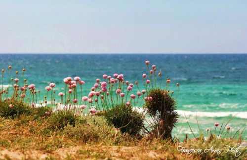 Residence L'Isola Surf House - Photo 97