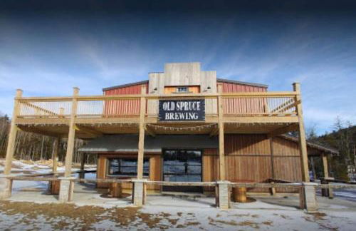 Snowshoe Ski-in & Ski-out at Silvercreek Resort - Family friendly, jacuzzi, hot tub, mountain views - Foto 19