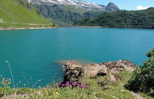 Verde Bosco - Photo 24