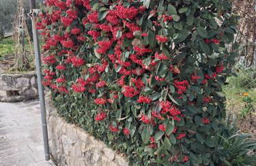 Giardino San Gerardo Maiella vista Castello e con parcheggio interno privato - Foto 7