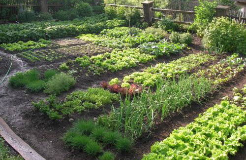 Unterpfaffstall-Hof - Foto 59