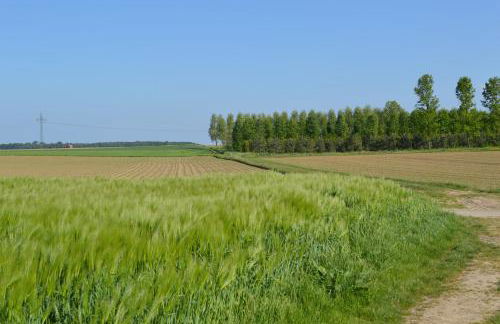 Nettes Appartement - Foto 24