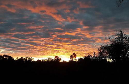 FINCA RIODIEL - Foto 45