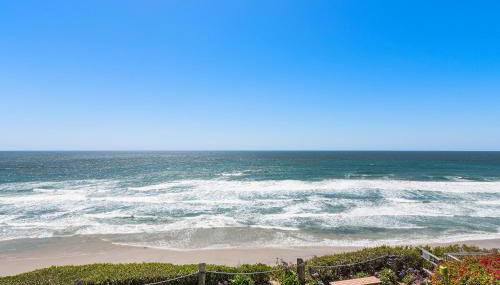 SandyToes-SunKist Nose-CHAT2 - Foto 2