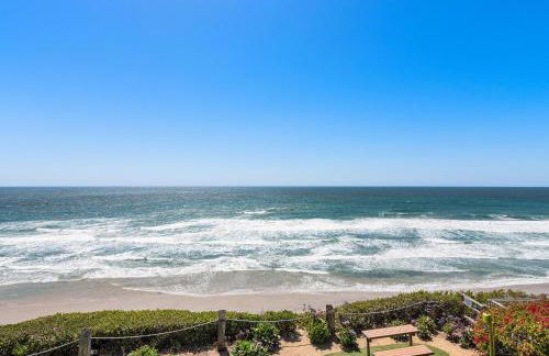 SandyToes-SunKist Nose-CHAT2 - Foto 2