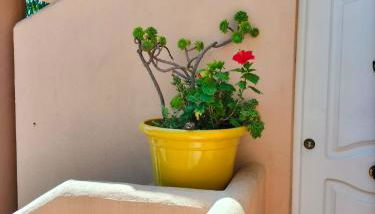 APARTAMENTO EN URBANIZACIÓN AL-ÁNDALUs CERCA DE LA PLAYA DE LA BARROSA - Foto 2