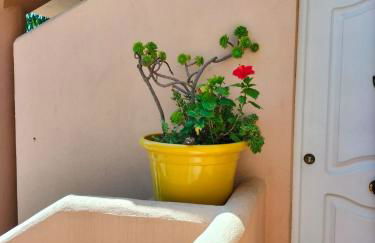 APARTAMENTO EN URBANIZACIÓN AL-ÁNDALUs CERCA DE LA PLAYA DE LA BARROSA - Foto 2