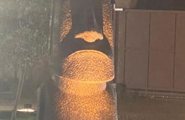 APICULTEUR - Foto 69