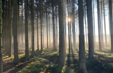 Ferienwohnung Lütje Vogelsang - Foto 7