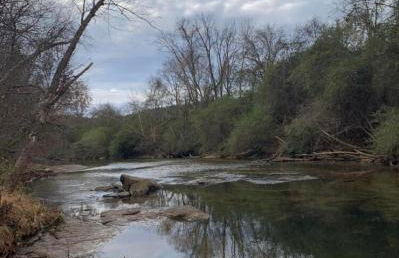 Luxury Loft Cabin 5 miles to TIEC for the Equestrian Internationl Games - Foto 3