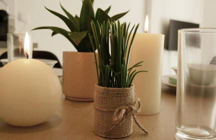 Capstay studio avec grande terrasse proche aéroport Bastia - Lucciana - Centre - Foto 26