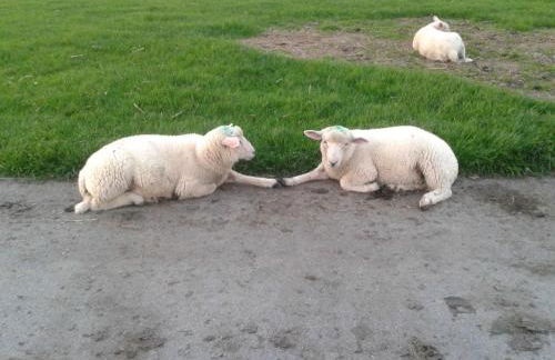 Luxuswohnung, 90 qm, Balkon, beste Lage in Kollmar - Foto 31