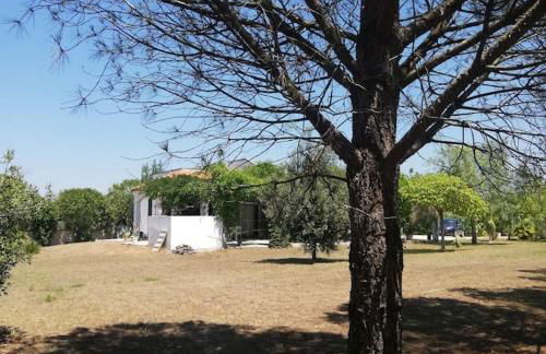 Villa del glicine - Foto 23