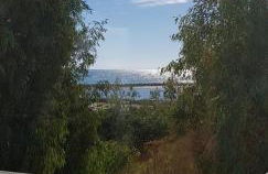 Fronte Mare - Foto 40