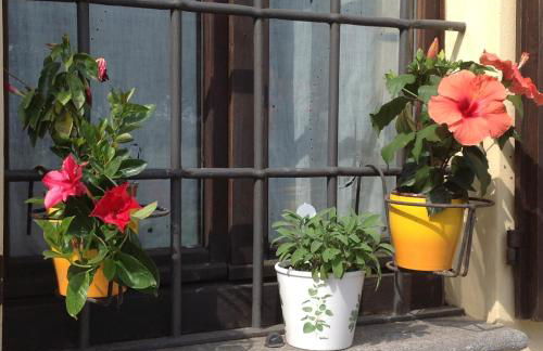 Agriturismo La Morosina - Photo 71