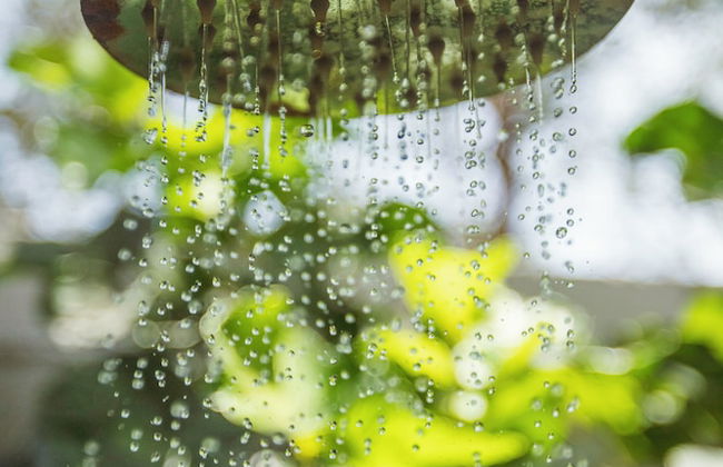 Morena Beach - Foto 21