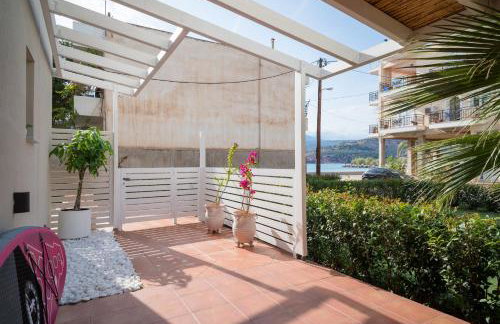 Coconut Blue - Photo 51