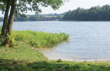 Dom nad jeziorem Lewinko Kaszuby - Photo 2