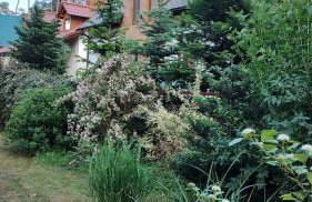 Apartament Nad Jeziorem Brenno - Foto 28