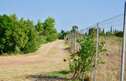 Casa Elena - Foto 34