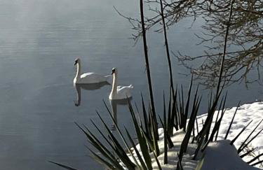 Lotus apartman on the Lake - Foto 7