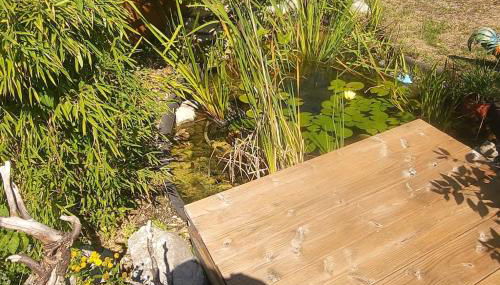 Sigrids Ferienwohnung Bad Tölz - Foto 2, Garden