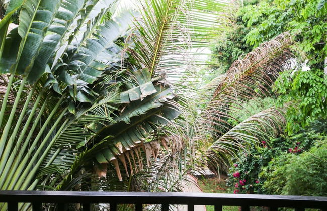 3 Bedroom Bay View Villa Koh Phangan SDV234-By Samui Dream Villas - Foto 45