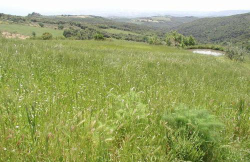 Casa Guaitoli - Foto 59