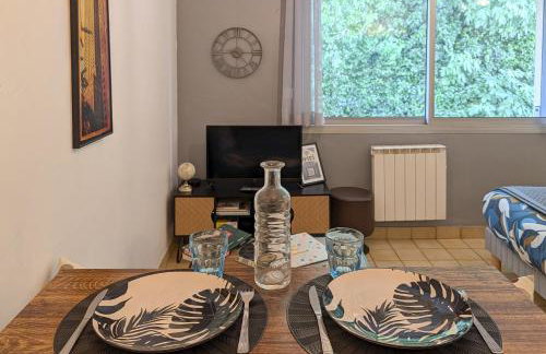 L'Aiglon Studio cocon au coeur de Gap - Foto 14