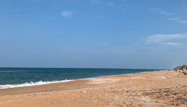 Ormond Beach, fun & loving sun! - Foto 3