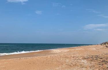 Ormond Beach, fun & loving sun! - Photo 3