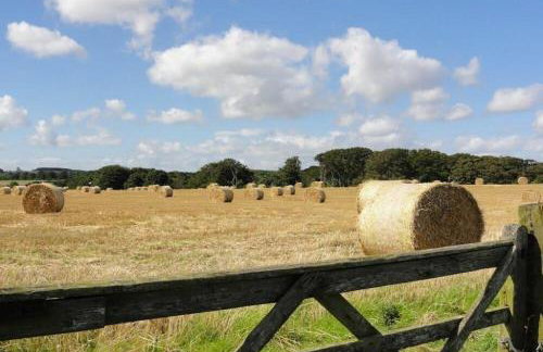 Sugar Sands - Foto 22