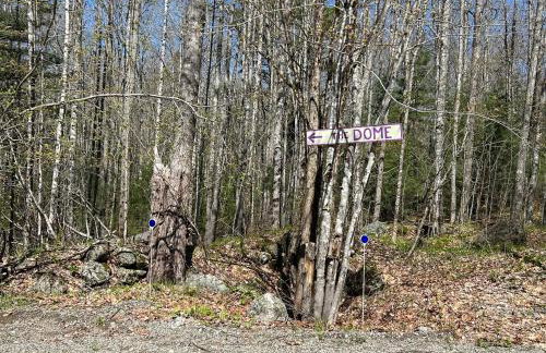 Lakefront Geodesic Dome 45 min to Acadia NP - Photo 45